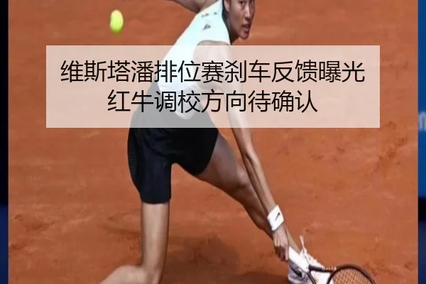 维斯塔潘排位赛刹车反馈曝光 红牛调校方向待确认