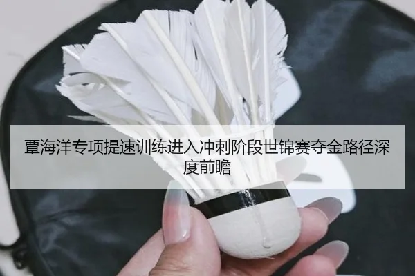 覃海洋专项提速训练进入冲刺阶段世锦赛夺金路径深度前瞻